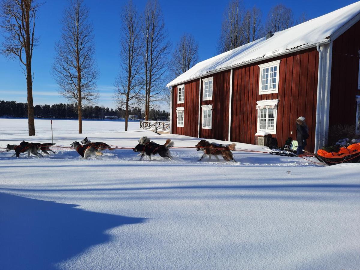 Camp Route 45 Hotel Hammerdal Екстериор снимка